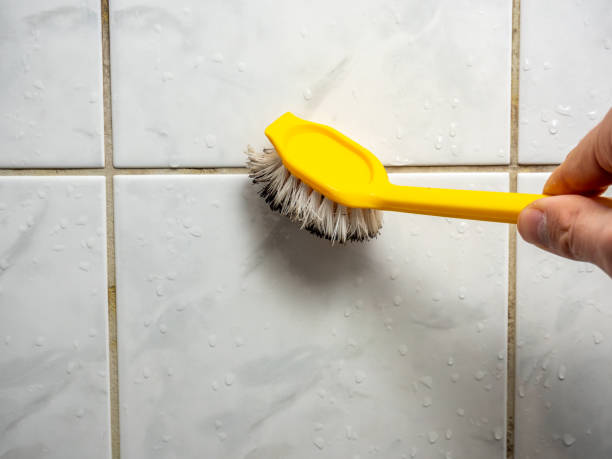Best Mold Removal Company Near Me  in Zwolle, LA