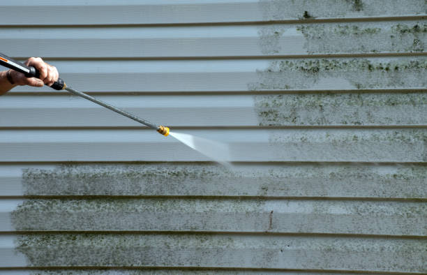 Professional Mold Removal in Zwolle, LA