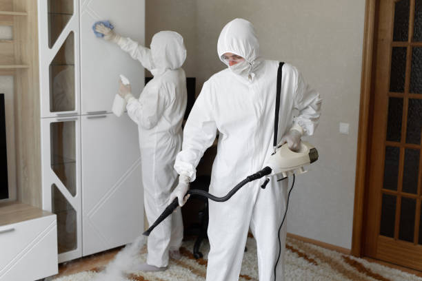 Best Certified Mold Removal  in Zwolle, LA