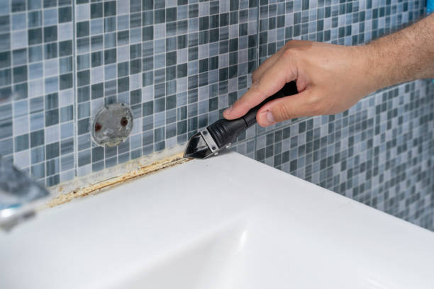 Best Mold Remediation  in Zwolle, LA