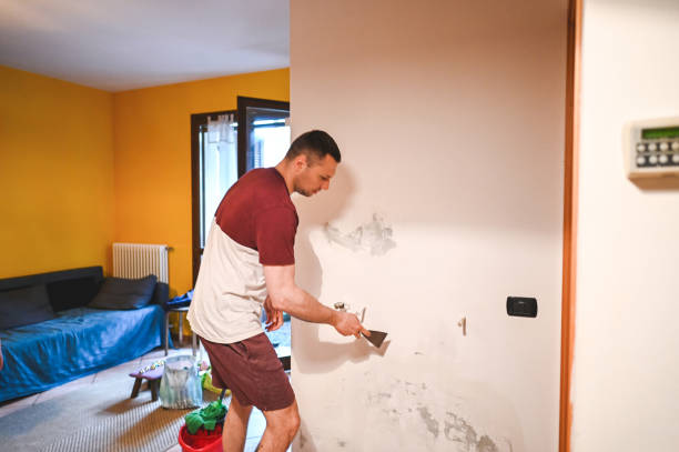 Best Home Mold Removal  in Zwolle, LA