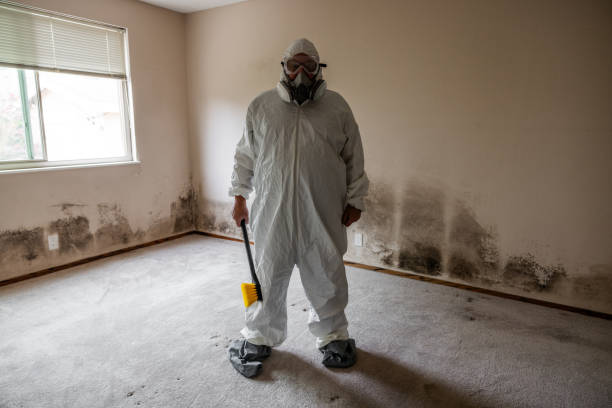 Best Crawl Space Mold Removal  in Zwolle, LA